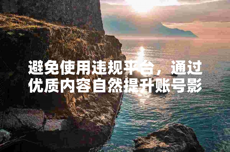 避免使用违规平台，通过优质内容自然提升账号影响力。