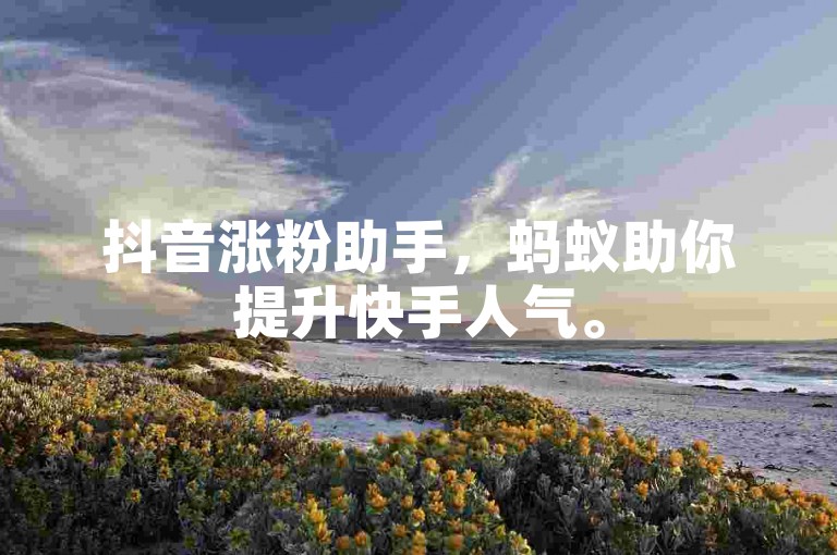 抖音涨粉助手，蚂蚁助你提升快手人气。