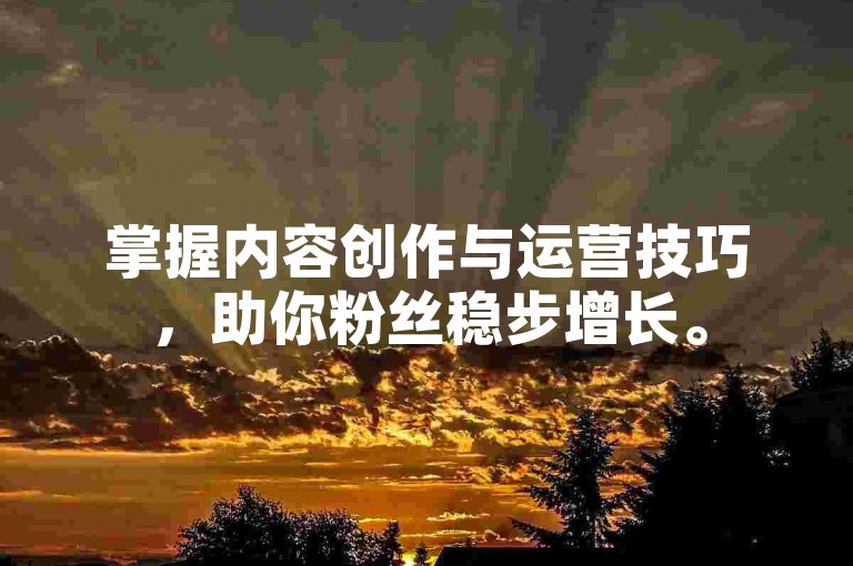 掌握内容创作与运营技巧，助你粉丝稳步增长。