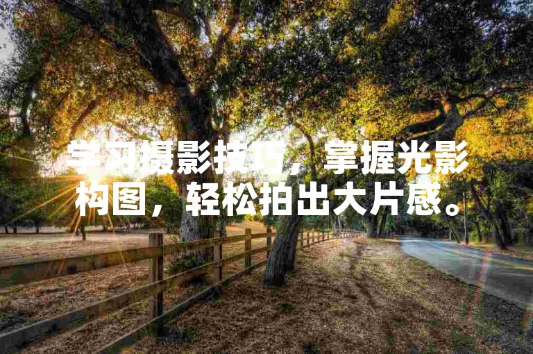 学习摄影技巧，掌握光影构图，轻松拍出大片感。