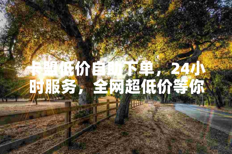 卡盟低价自助下单，24小时服务，全网超低价等你来体验。