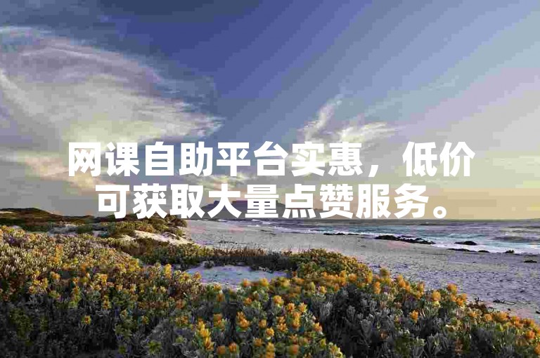 网课自助平台实惠，低价可获取大量点赞服务。
