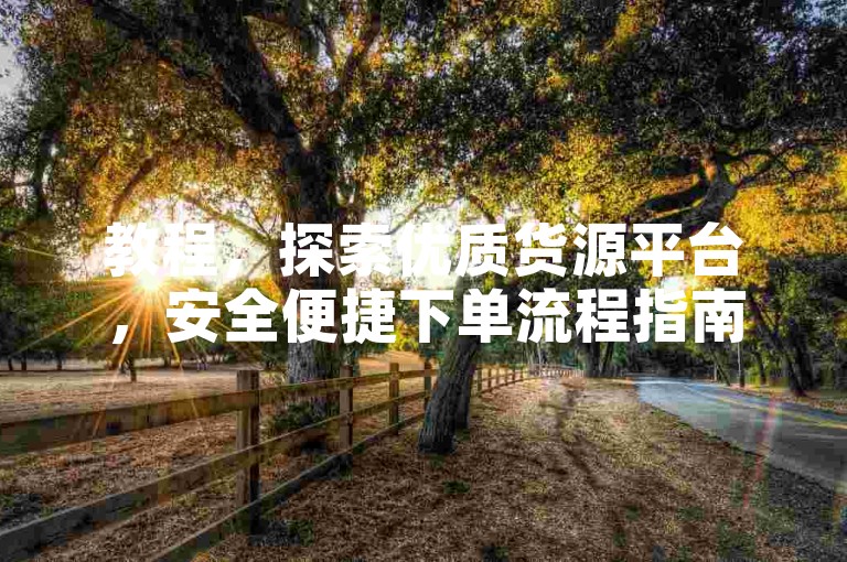 教程，探索优质货源平台，安全便捷下单流程指南。