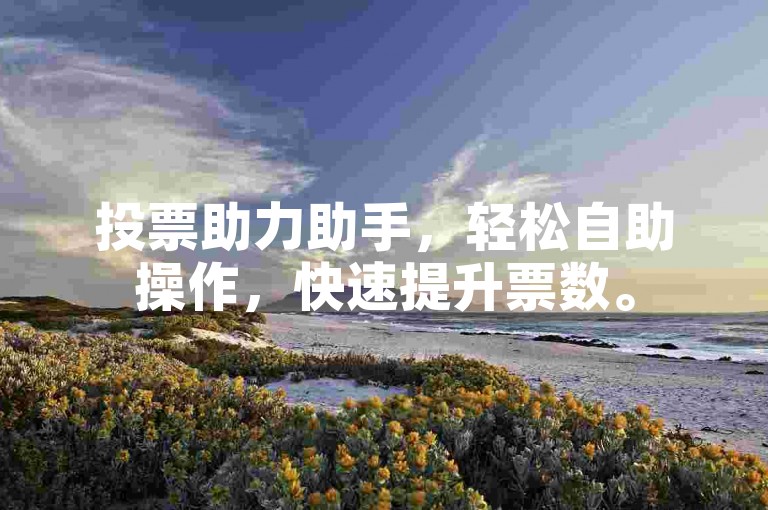 投票助力助手，轻松自助操作，快速提升票数。