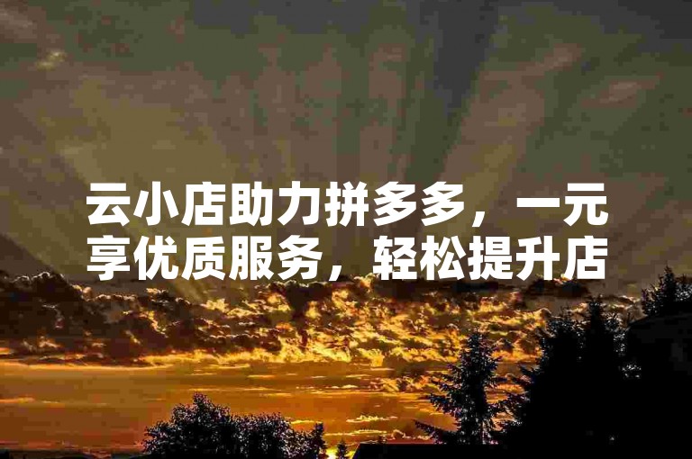云小店助力拼多多，一元享优质服务，轻松提升店铺人气。