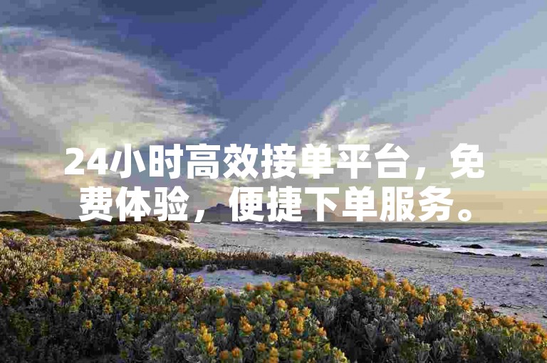 24小时高效接单平台，免费体验，便捷下单服务。