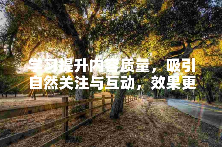 学习提升内容质量，吸引自然关注与互动，效果更佳。