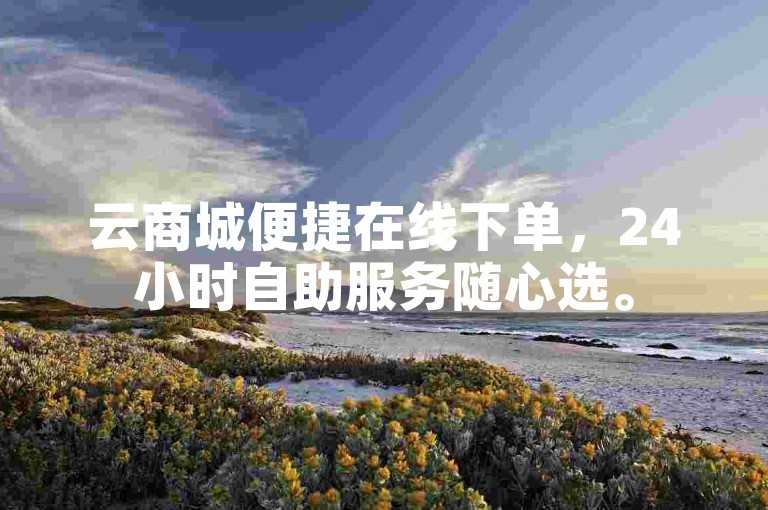 云商城便捷在线下单，24小时自助服务随心选。