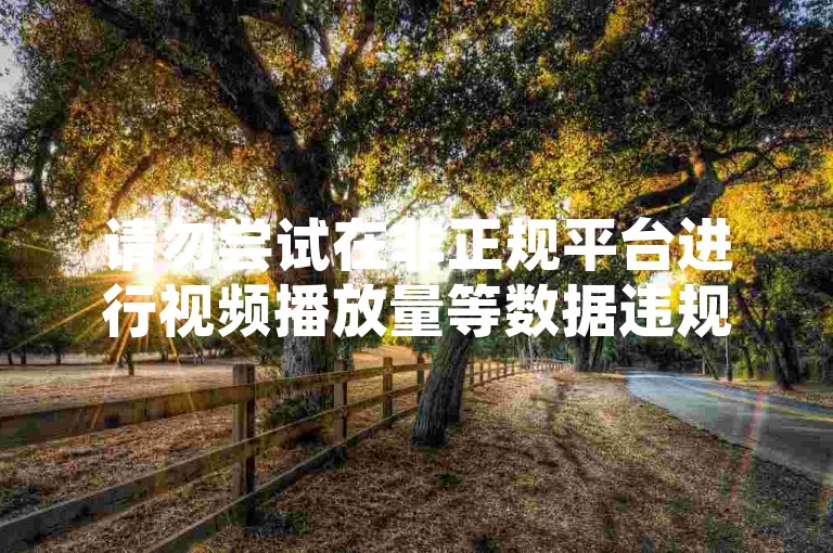 请勿尝试在非正规平台进行视频播放量等数据违规操作。