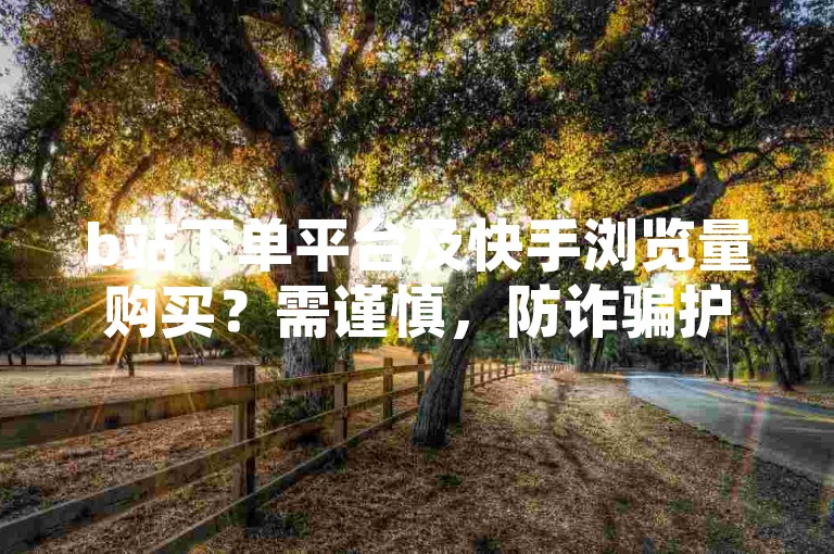 b站下单平台及快手浏览量购买？需谨慎，防诈骗护隐私！