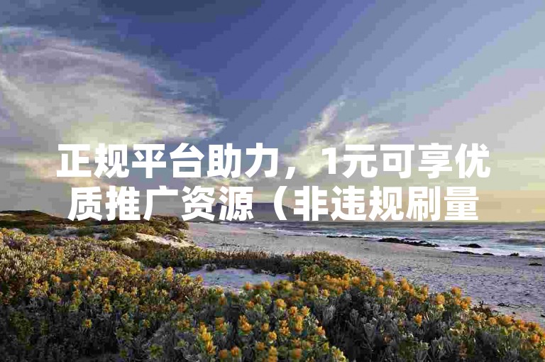 正规平台助力，1元可享优质推广资源（非违规刷量）。