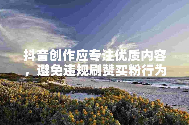 抖音创作应专注优质内容，避免违规刷赞买粉行为。