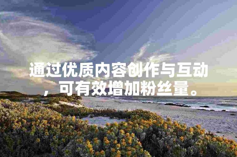 通过优质内容创作与互动，可有效增加粉丝量。