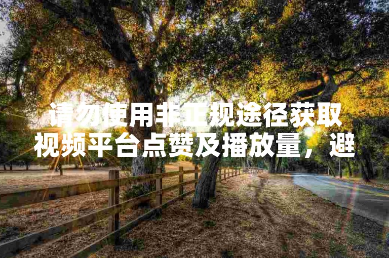 请勿使用非正规途径获取视频平台点赞及播放量，避免违规风险。