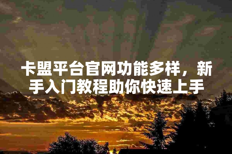 卡盟平台官网功能多样，新手入门教程助你快速上手！