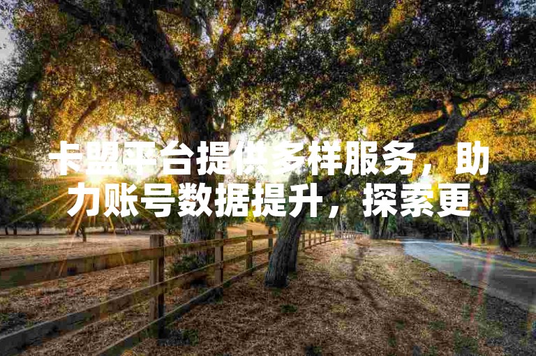 卡盟平台提供多样服务，助力账号数据提升，探索更多可能！