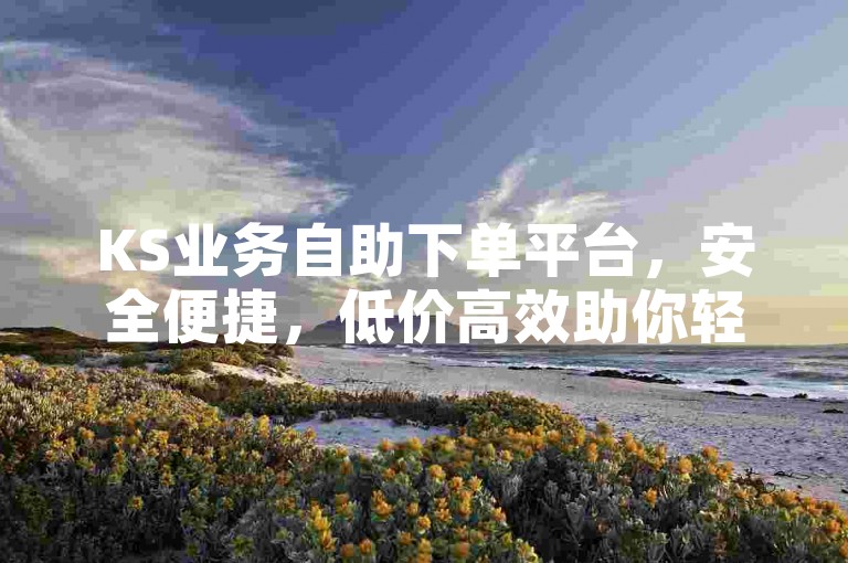 KS业务自助下单平台，安全便捷，低价高效助你轻松达成目标。