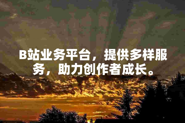 B站业务平台，提供多样服务，助力创作者成长。