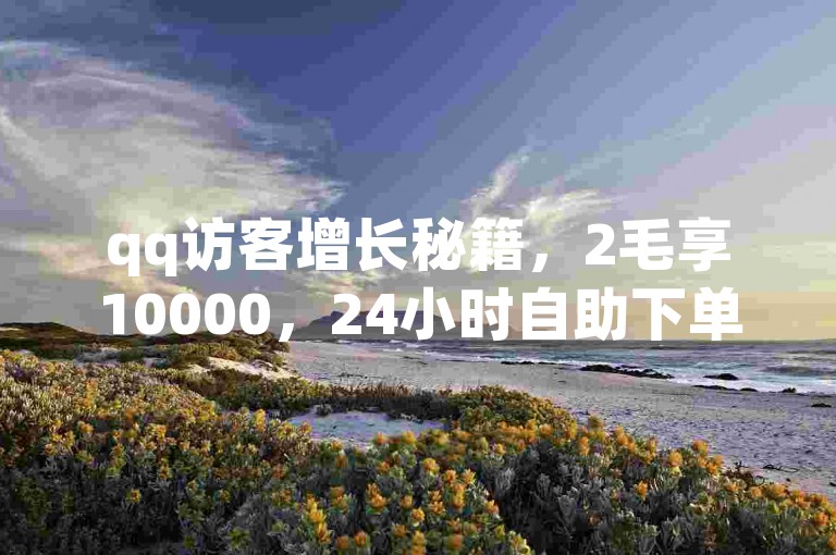 qq访客增长秘籍，2毛享10000，24小时自助下单，网红商城助力。