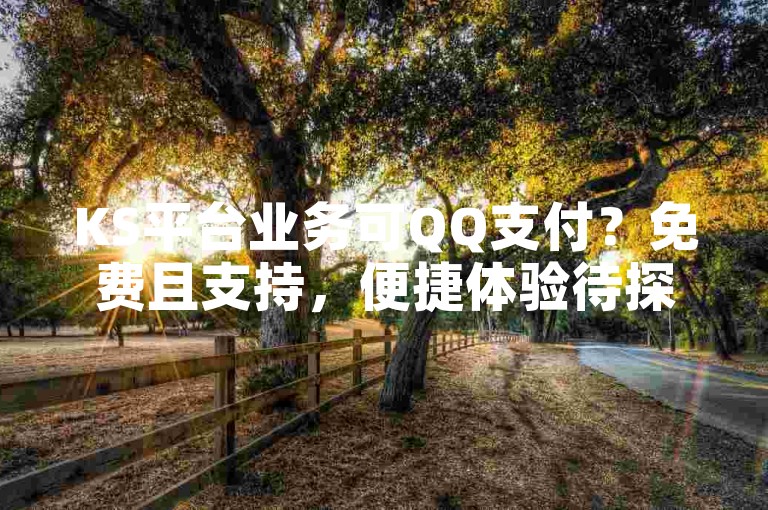 KS平台业务可QQ支付？免费且支持，便捷体验待探索。
