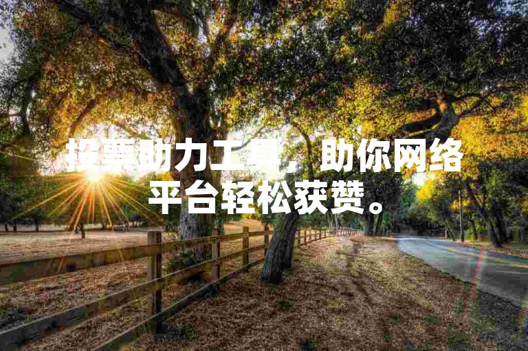 投票助力工具，助你网络平台轻松获赞。