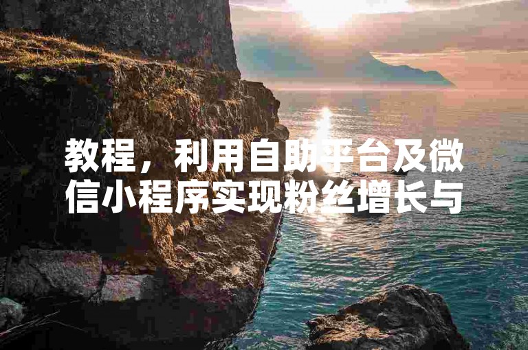 教程，利用自助平台及微信小程序实现粉丝增长与拉票操作。