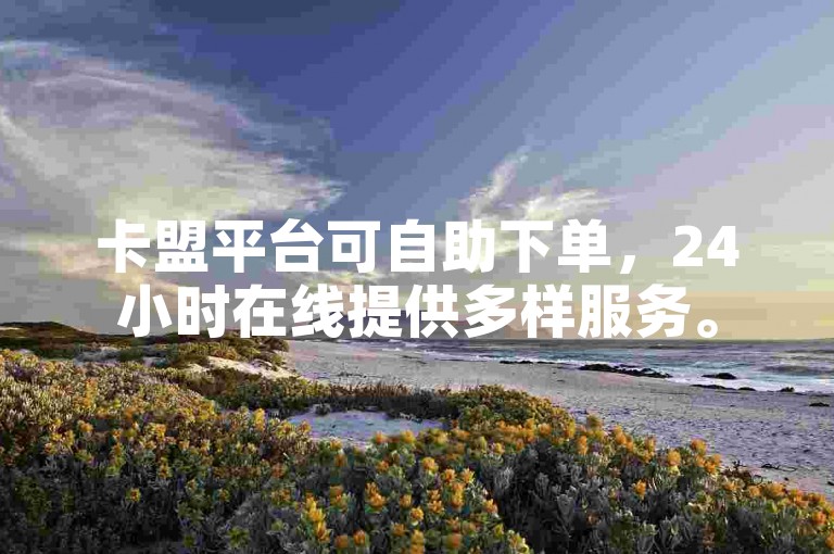 卡盟平台可自助下单，24小时在线提供多样服务。