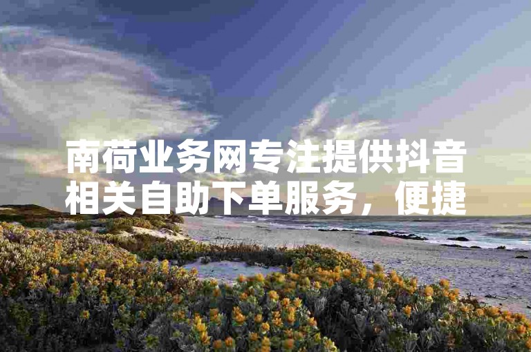 南荷业务网专注提供抖音相关自助下单服务，便捷高效。