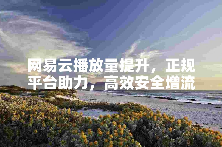 网易云播放量提升，正规平台助力，高效安全增流量。