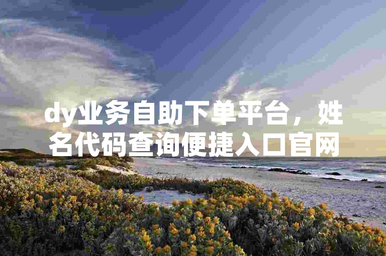 dy业务自助下单平台，姓名代码查询便捷入口官网