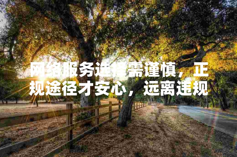 网络服务选择需谨慎，正规途径才安心，远离违规代刷平台。