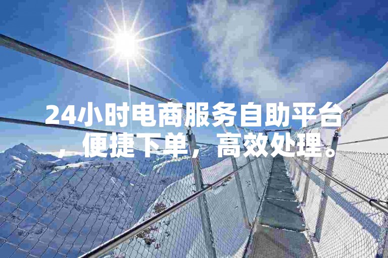 24小时电商服务自助平台，便捷下单，高效处理。