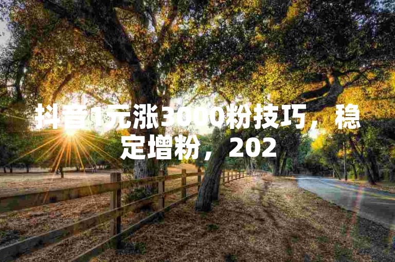 抖音1元涨3000粉技巧，稳定增粉，2025年轻松提升账号影响力！