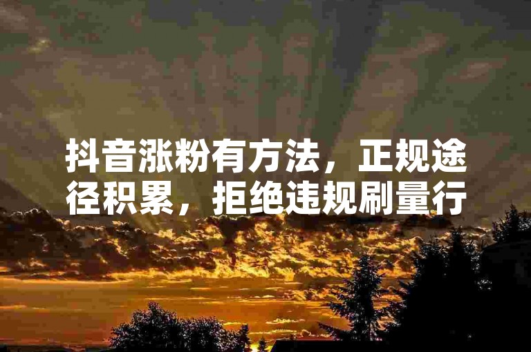 抖音涨粉有方法，正规途径积累，拒绝违规刷量行为。