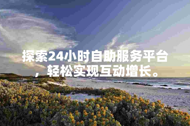 探索24小时自助服务平台，轻松实现互动增长。