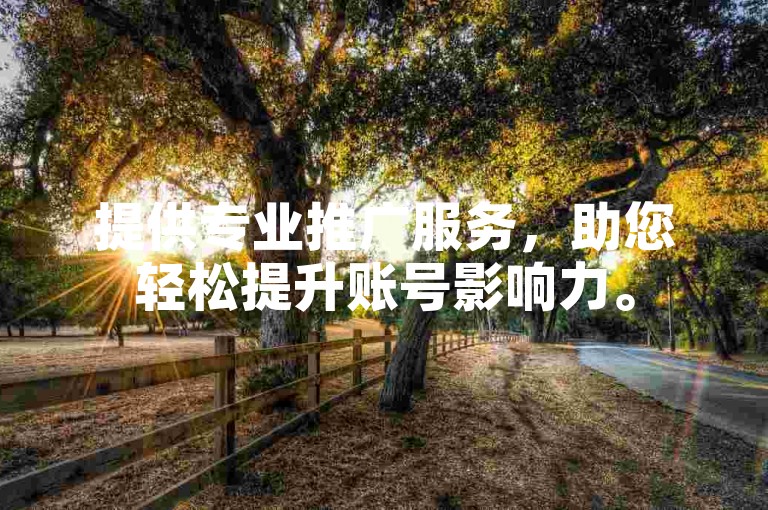 提供专业推广服务，助您轻松提升账号影响力。