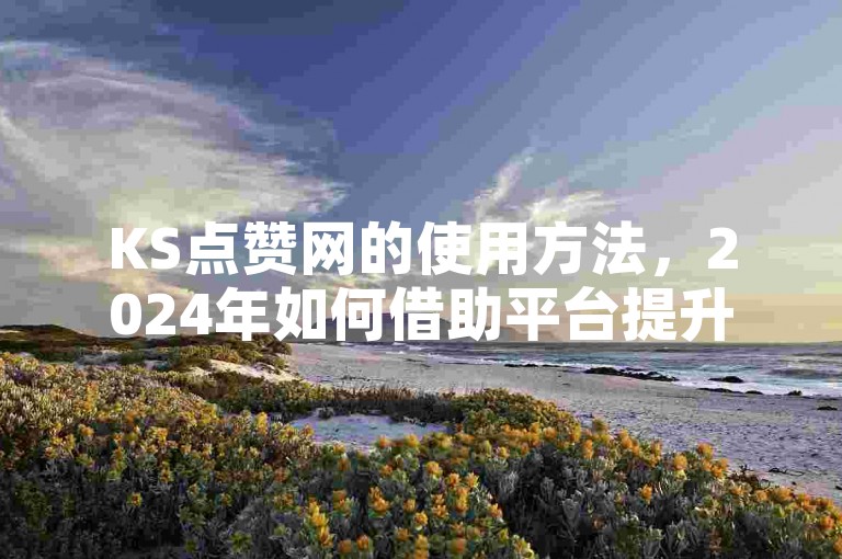 KS点赞网的使用方法，2024年如何借助平台提升个人社交影响力？
