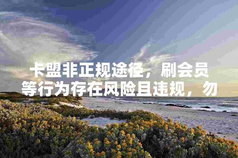 卡盟非正规途径，刷会员等行为存在风险且违规，勿尝试。