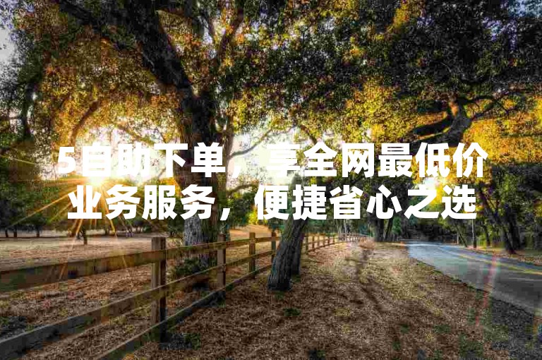 5自助下单，享全网最低价业务服务，便捷省心之选。