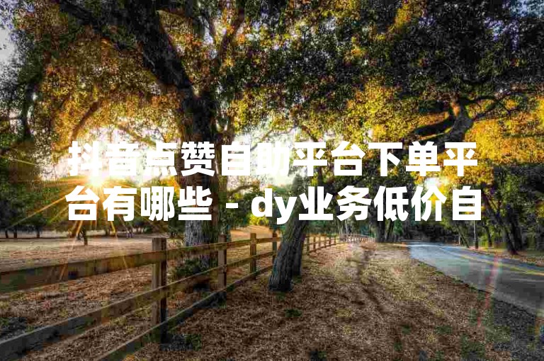 抖音点赞自助平台下单平台有哪些 - dy业务低价自助下单平台实惠