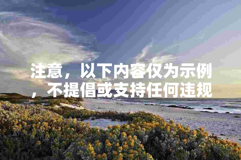 注意，以下内容仅为示例，不提倡或支持任何违规行为，探索合法网络资源，确保交易安全合规。