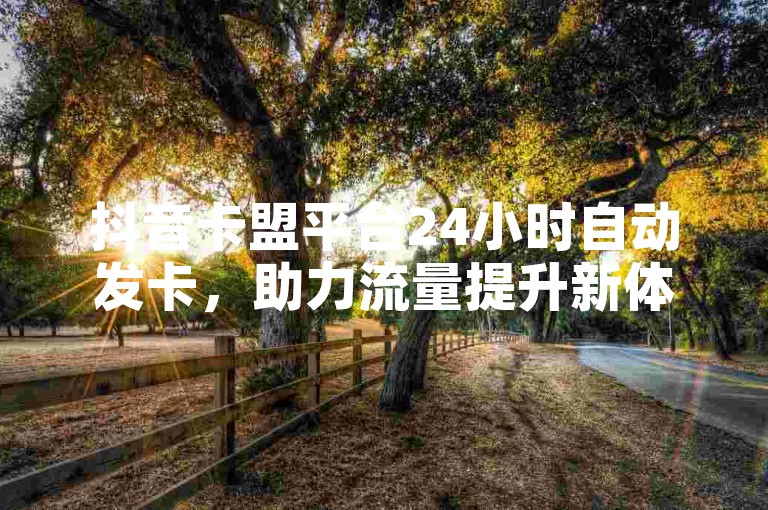 抖音卡盟平台24小时自动发卡，助力流量提升新体验。
