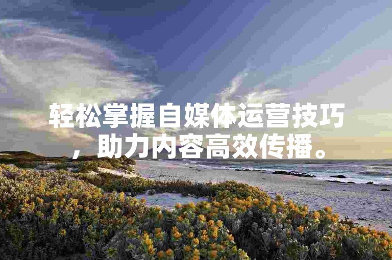 轻松掌握自媒体运营技巧，助力内容高效传播。