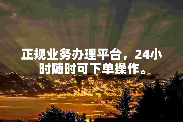 正规业务办理平台，24小时随时可下单操作。