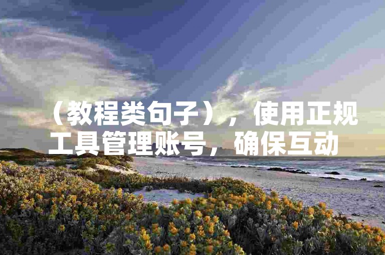 （教程类句子），使用正规工具管理账号，确保互动真实有效，提升内容质量。