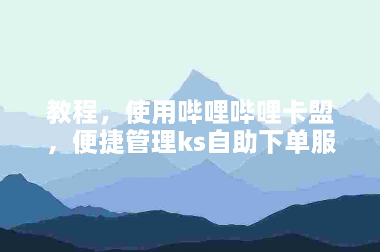 教程，使用哔哩哔哩卡盟，便捷管理ks自助下单服务。