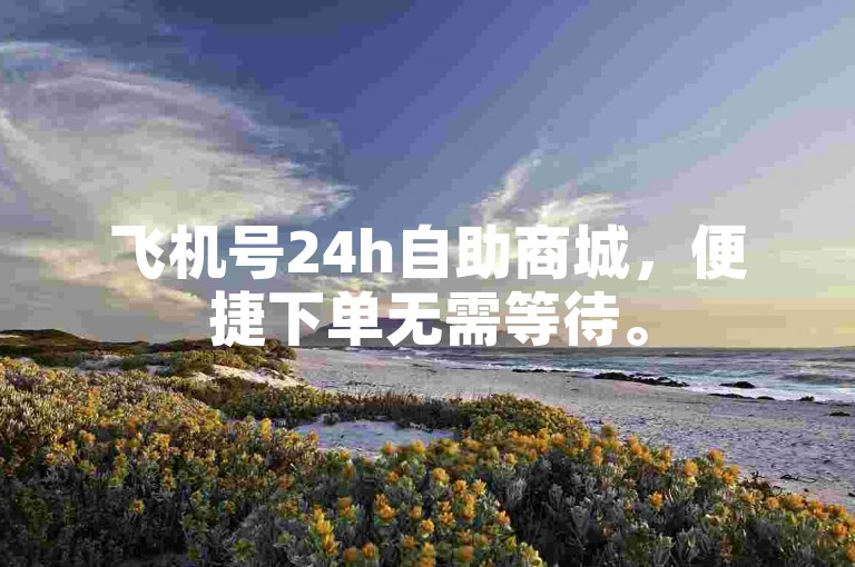 飞机号24h自助商城，便捷下单无需等待。