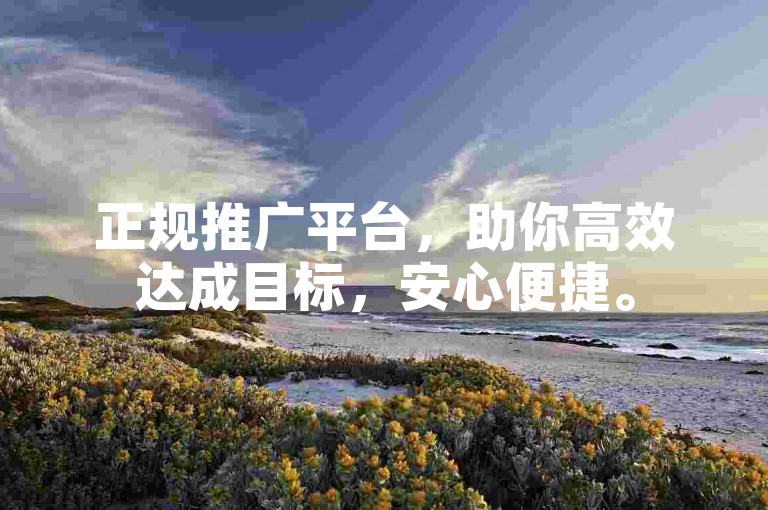 正规推广平台，助你高效达成目标，安心便捷。
