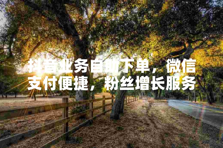 抖音业务自助下单，微信支付便捷，粉丝增长服务安全可靠。