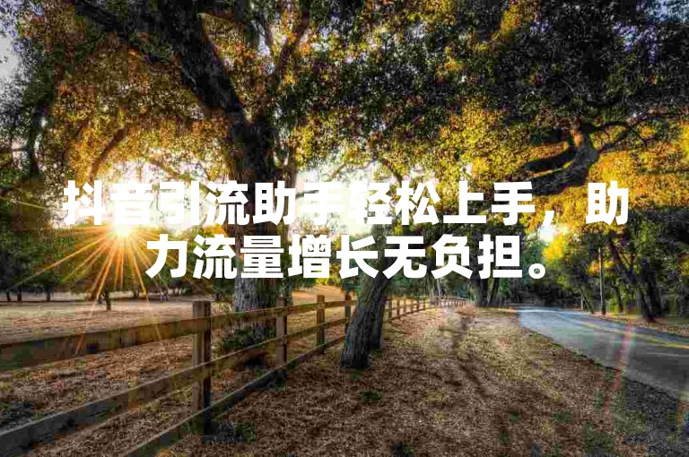 抖音引流助手轻松上手，助力流量增长无负担。